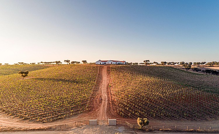 Fields with path to house